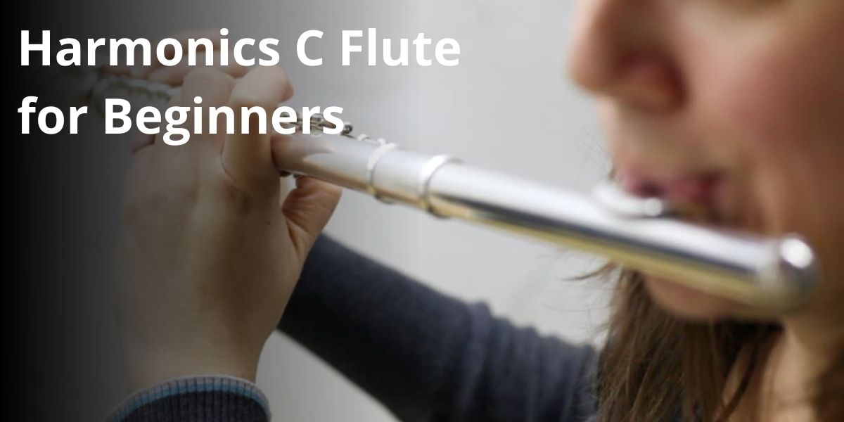 C Flute for Beginner Student in Luxury Soft Case 1