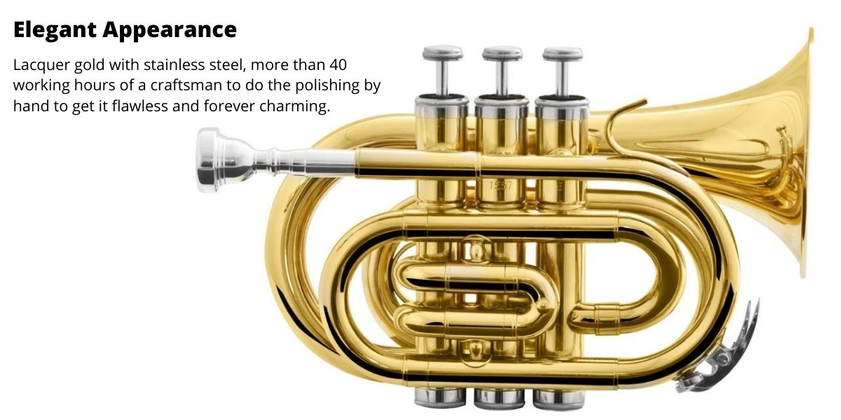 Harmonics HMT 500L Bb Mini Pocket Trumpet Gold Lacquer with Soft Carrying Case 3