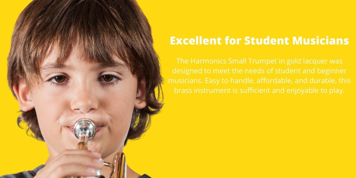 Harmonics HMT 500L Bb Mini Pocket Trumpet Gold Lacquer with Soft Carrying Case 4