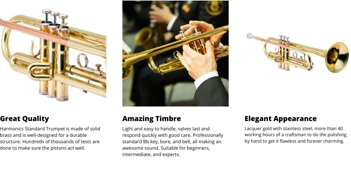 Harmonics HTR 335L Standard Bb Trumpet 2